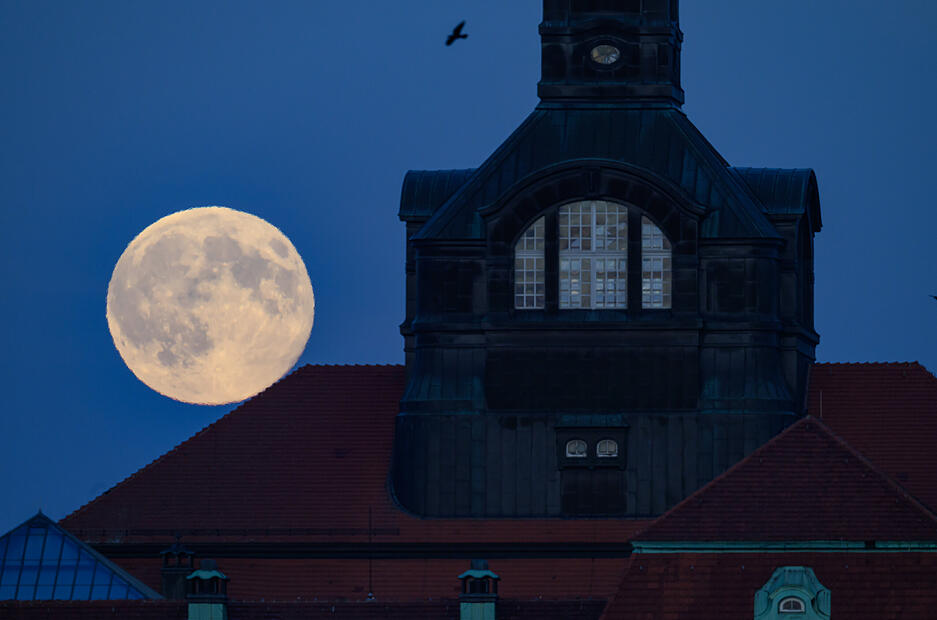 Der Supermond hinter der Staatskanzlei in Dresden. Der Supermond hinter der Staatskanzlei in Dresden.