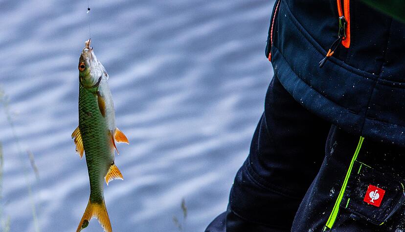 In den sozialen Medien präsentieren Angler gerne ihren Fang. (Archivbild) In den sozialen Medien präsentieren Angler gerne ihren Fang. (Archivbild)