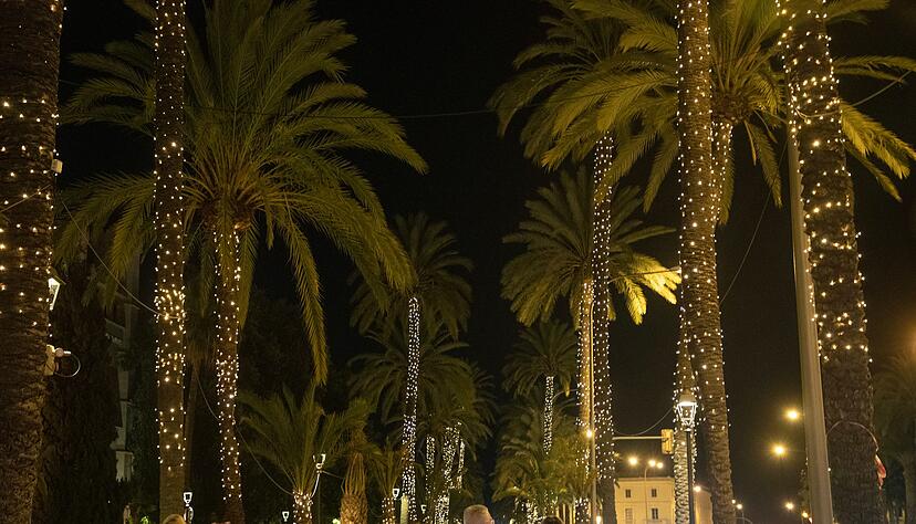 Palma hat die Weihnachtsbeleuchtung angeschaltet.