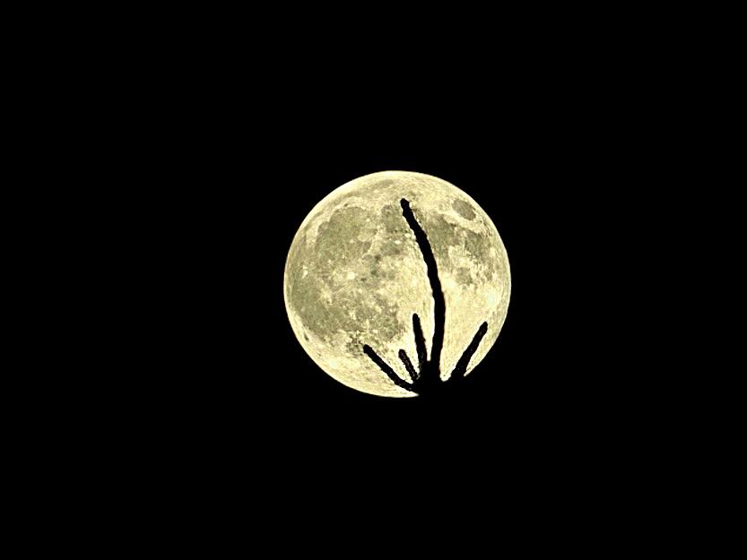 Auch im Landkreis Heilbronn entstanden einige Aufnahmen.