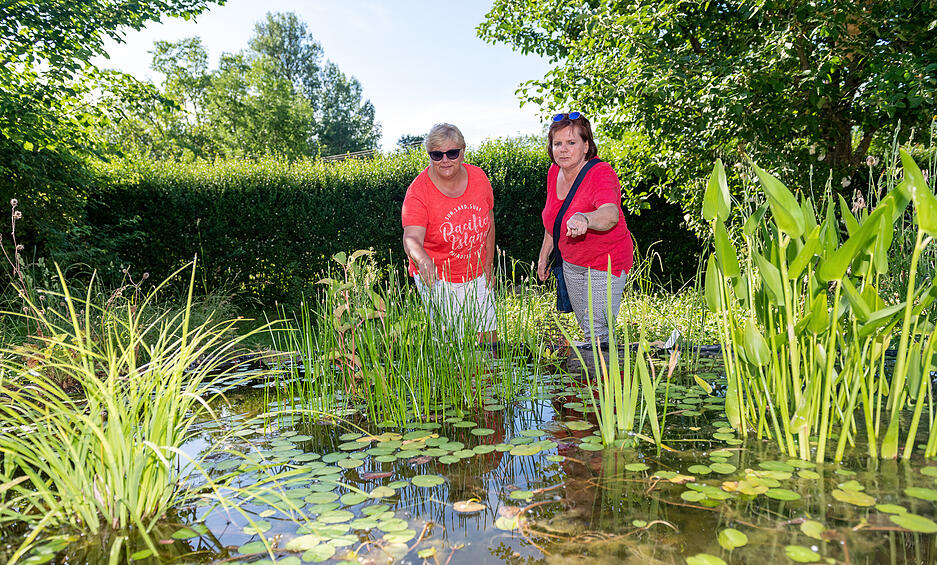 XXL-Lesersommer: Naturgartenbesuch bei Heimatreporter Magnus Diller in Oedheim