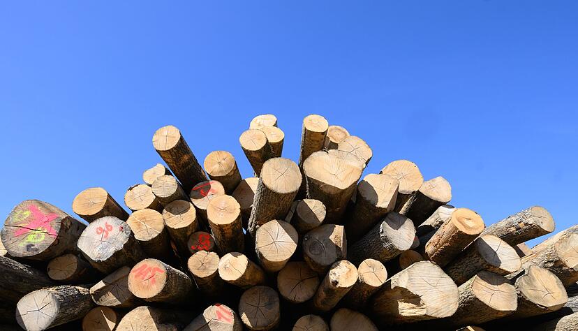 Brennholz liegt auf einem Betriebshof in Hannover. Brennholz liegt auf einem Betriebshof in Hannover.