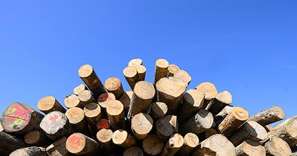 Brennholz liegt auf einem Betriebshof in Hannover. Brennholz liegt auf einem Betriebshof in Hannover.