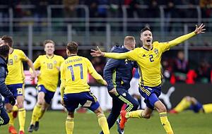 Schwedens Mannschaft kann ihr Gl&uuml;ck kaum fassen: WM-Teilnahme. Foto: Antonio Calanni