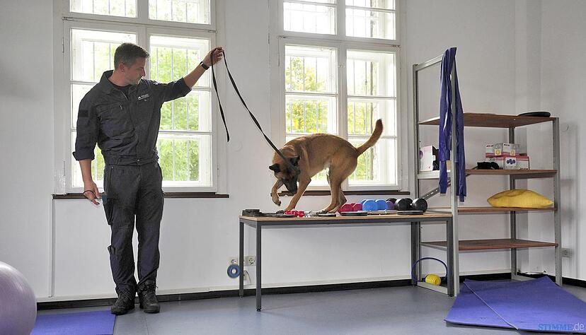 Polizeihundstaffel Offenau