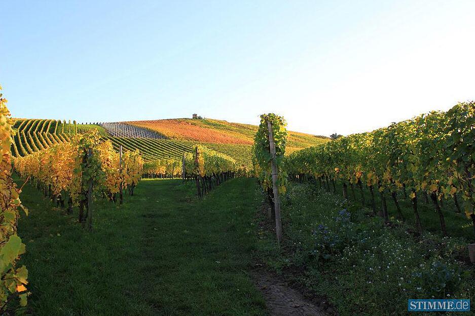Leserfotos: Herbst in der Region