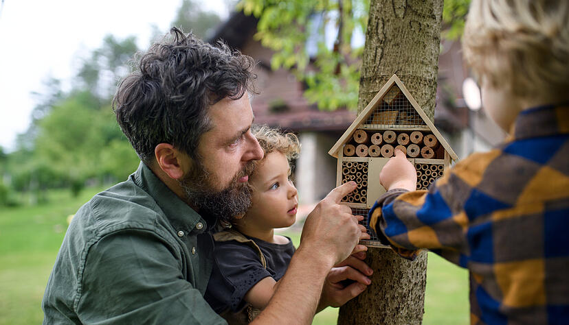 Insektenhotels sind eines der Projekte, die die VR Banken im Zuge des Gewinnsparens unterstützen.