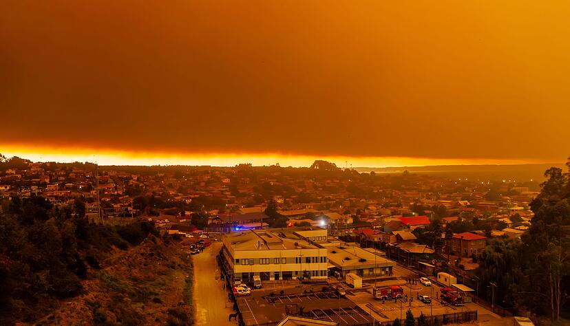 Hunderte Feuerwehrleute und Soldaten k&auml;mpften gegen die Br&auml;nde.
