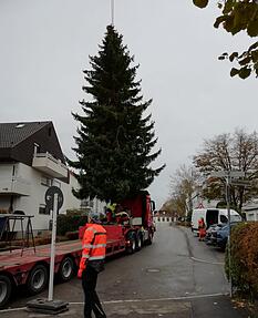 Eine Nachbarin war vom Transport begeistert. Foto: privat Eine Nachbarin war vom Transport begeistert. Foto: privat