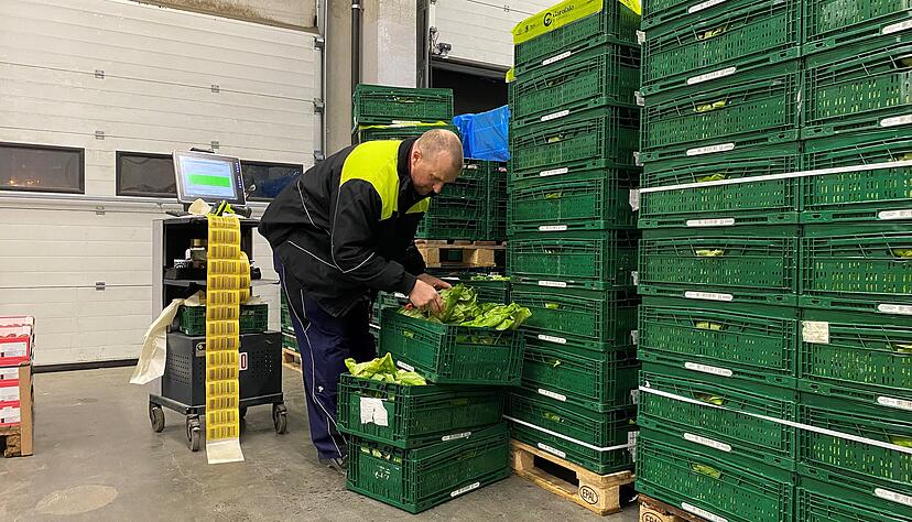 Marbod Kasten arbeitet seit 27 Jahren bei Edeka Südwest in Ellhofen. Er kontrolliert das angelieferte Gemüse und entscheidet, ob es den Vorgaben entspricht. Marbod Kasten arbeitet seit 27 Jahren bei Edeka Südwest in Ellhofen. Er kontrolliert das angelieferte Gemüse und entscheidet, ob es den Vorgaben entspricht.