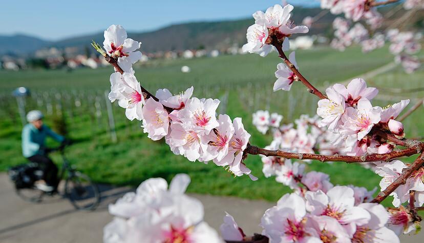 Im März lockte das Wetter bereits zu vielen Aktivitäten ins Freie. (Archivbild) Im März lockte das Wetter bereits zu vielen Aktivitäten ins Freie. (Archivbild)