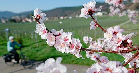 Im März lockte das Wetter bereits zu vielen Aktivitäten ins Freie. (Archivbild) Im März lockte das Wetter bereits zu vielen Aktivitäten ins Freie. (Archivbild)