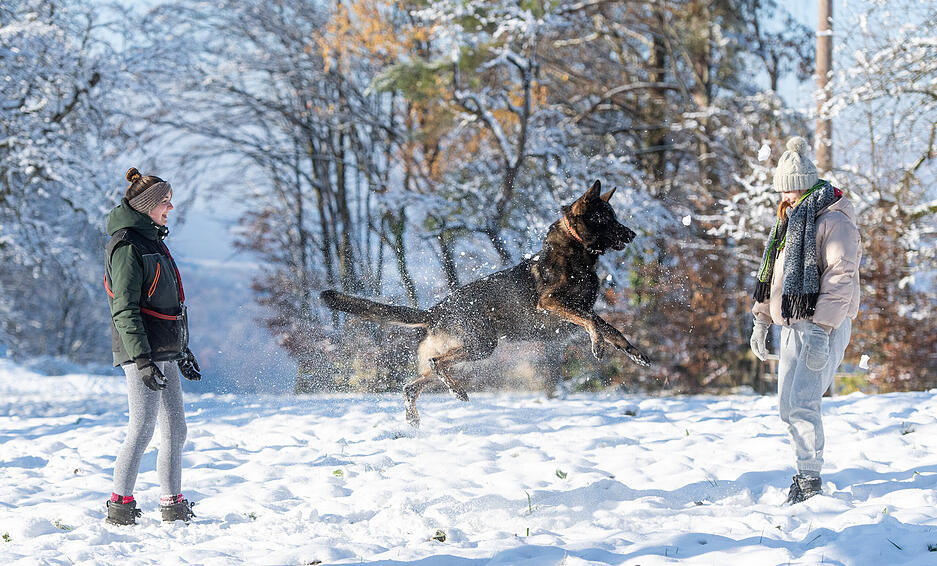 Winter in den Löwensteiner Bergen.