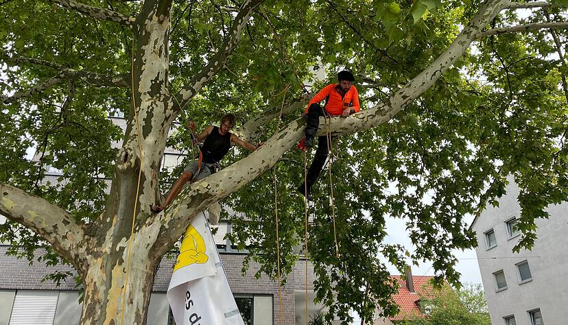 Politiker Marcel Bauer bei der Kletteraktion in Heilbronn. Politiker Marcel Bauer bei der Kletteraktion in Heilbronn.