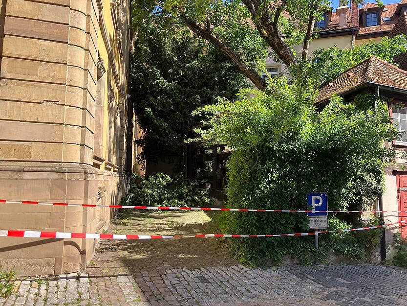 Der betroffene Bereich um das Bad Wimpfener Konventhaus ist abgesperrt. Ein Baumpfleger tr&auml;gt den denkmalgesch&uuml;tzten Ahorn st&uuml;ckweise ab.