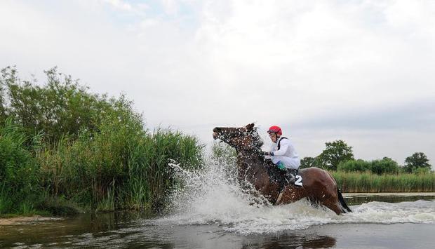 Vlastislav Korytar siegt auf Indian Sun mit zwölf Längen Vorsprung. Foto: Axel Heimken Vlastislav Korytar siegt auf Indian Sun mit zwölf Längen Vorsprung. Foto: Axel Heimken