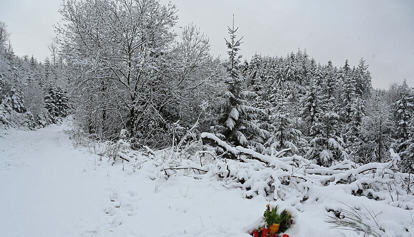 Unbekannte haben am Fundort der ermordeten Luise Blumen aufgestellt.