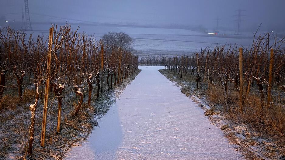 Ob wohl am Montag in den Weinbergen gerodelt werden kann?