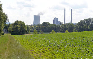 Auf diesen landwirtschaftlichen Flächen im Gewann Steinäcker in Neckargartach soll das Gewerbegebiet Böllinger Höfe erweitert werden.
Foto: Archiv/Berger
