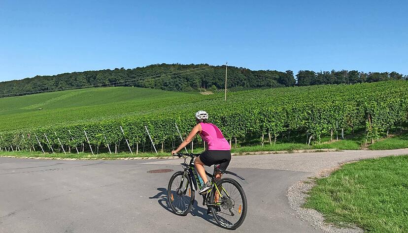 Radwege kennen keine Landkreisgrenzen. Deshalb will sich der neue Nord-Verbund im Land künftig als "exzellente Radregion"positionieren. Radwege kennen keine Landkreisgrenzen. Deshalb will sich der neue Nord-Verbund im Land künftig als "exzellente Radregion"positionieren.