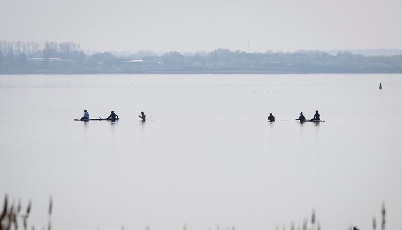 Am Freitag wird die Rettungsaktion f&uuml;r den gestrandeten Buckelwal fortgesetzt.