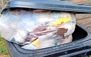 Auch &uuml;berquellende Restm&uuml;lltonnen sind ein Problem. Die Grundgeb&uuml;hr richtet sich nach dem Tonnenvolumen. Einige m&uuml;ssten also gr&ouml;&szlig;ere Beh&auml;lter buchen.
Fotos: privat