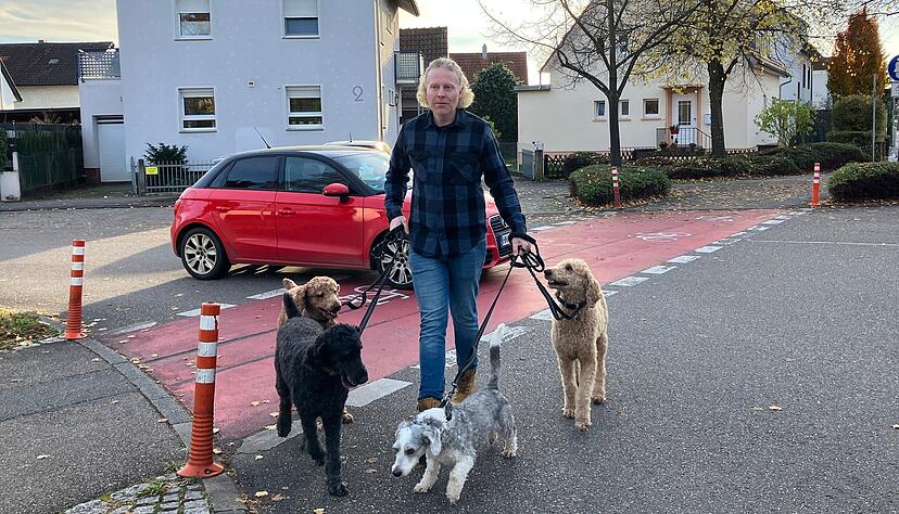 David Schneider geht mit den Königspudeln und Mischling Nino Gassi. David Schneider geht mit den Königspudeln und Mischling Nino Gassi.