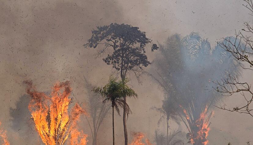 Ein Waldstück im Amazonas-Gebiet brennt lichterloh. Trotz eines Verbots gibt es dort weiter illegale Feuer.   Fotos: dpa