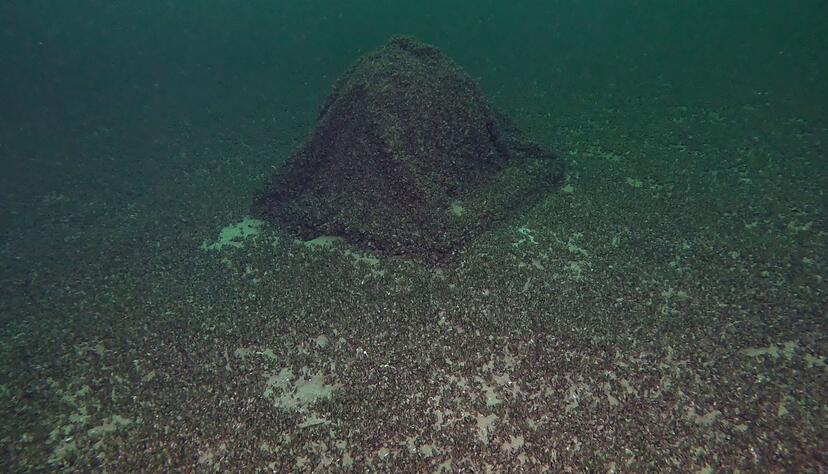 Die Kugel war auf den ersten Blick nicht zu erkennen.