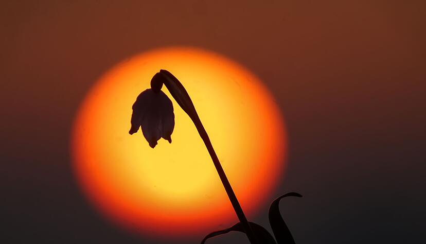 Es bleibt sonnig und bei leuchtenden Farben beim Sonnenaufgang.