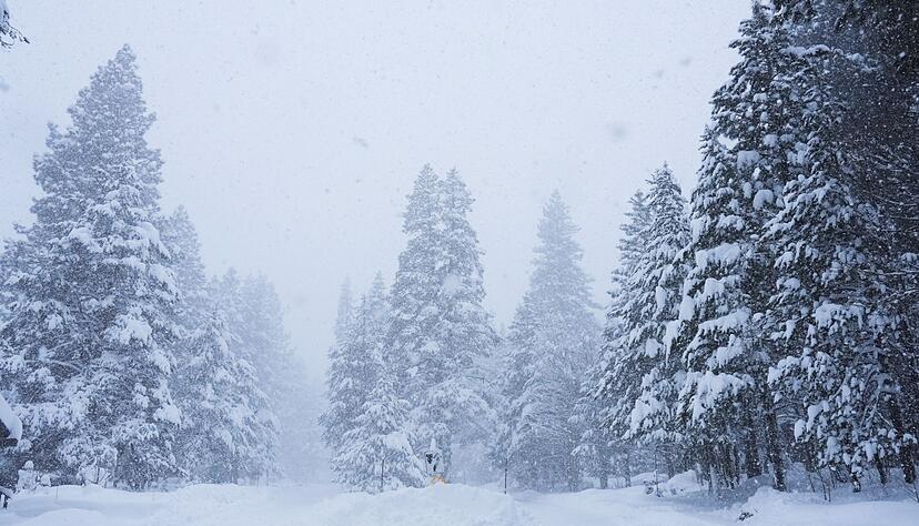 In Kalifornien ist viel Schnee gefallen. In Kalifornien ist viel Schnee gefallen.