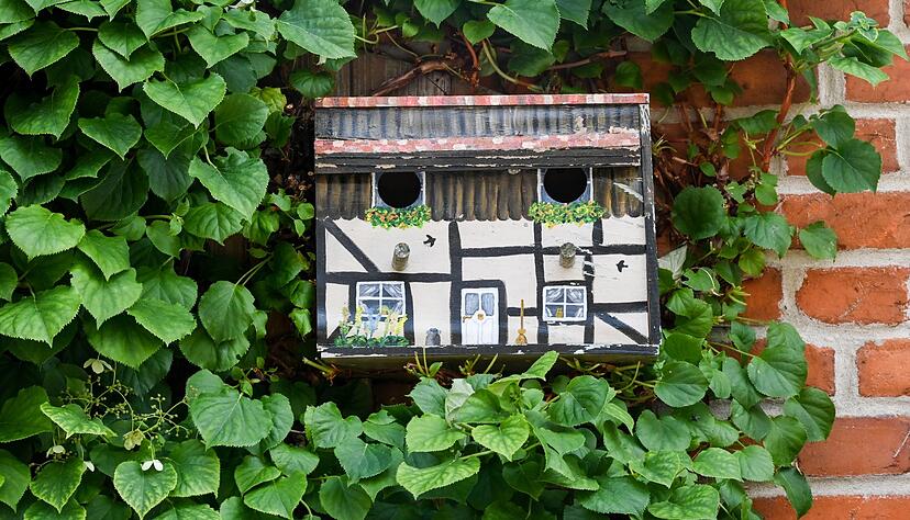 Schutz in der Umgebung macht den Kasten f&uuml;r die V&ouml;gel noch attraktiver.