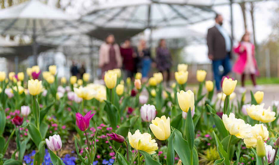Osterspaziergang durch Heilbronn