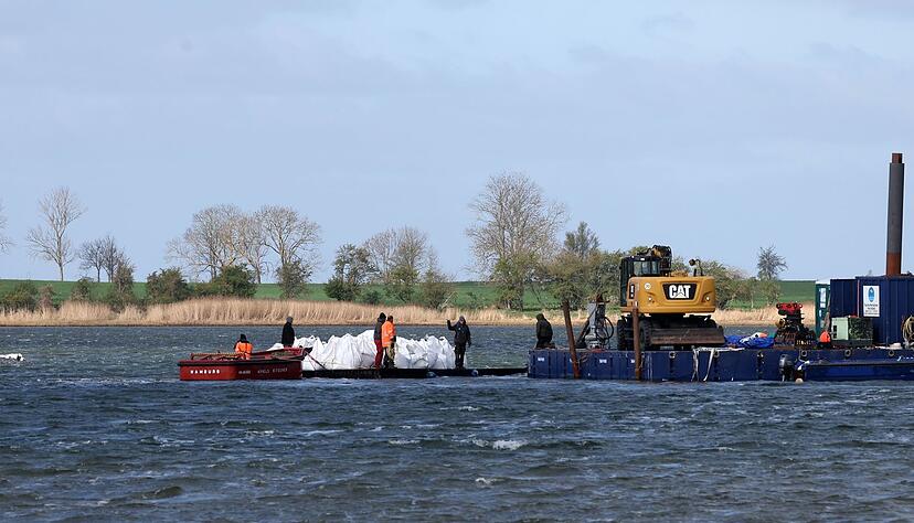 Der Wal soll nicht noch tiefer in den Flachwasser-Bereich schwimmen.