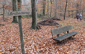 Hier ein Wegweiser, dort eine Bank: Der Friedwald sieht aus wie jeder andere Wald.