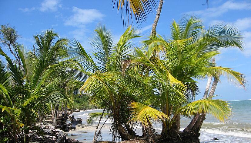 Der Fund zweier Leichen auf dem Grundst&uuml;ck eines deutschen Paares in Costa Rica gibt R&auml;tsel auf. (Archivbild)