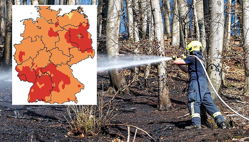Die Waldbrandgefahr steigt auch in der Region Heilbronn.