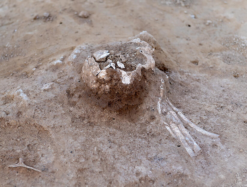 Der wohl spektakulärste Fund der Ausgrabungen: Ein Kinderskelett, vermutlich circa 2.400 Jahre alt.