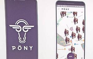 Christoph Sollich präsentiert sein erfundenes Start-up Pöny. Christoph Sollich präsentiert sein erfundenes Start-up Pöny.