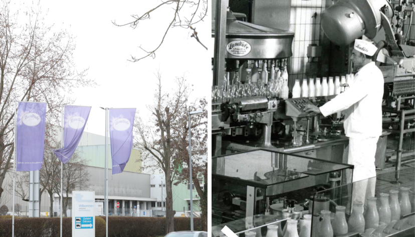 So (rechts) sah die Milch-Abfüllanlage für Landliebe-Milch im Jahr 1989 aus. Das Heilbronner Werk galt lange Zeit als eines der modernsten in ganz Europa. Doch 35 Jahre später stehen die Zeichen auf Schließung des Traditionsstandortes. So (rechts) sah die Milch-Abfüllanlage für Landliebe-Milch im Jahr 1989 aus. Das Heilbronner Werk galt lange Zeit als eines der modernsten in ganz Europa. Doch 35 Jahre später stehen die Zeichen auf Schließung des Traditionsstandortes.