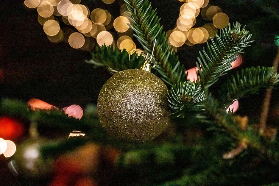 Der Biergarten am Trappensee ist weihnachtlich geschm&uuml;ckt.