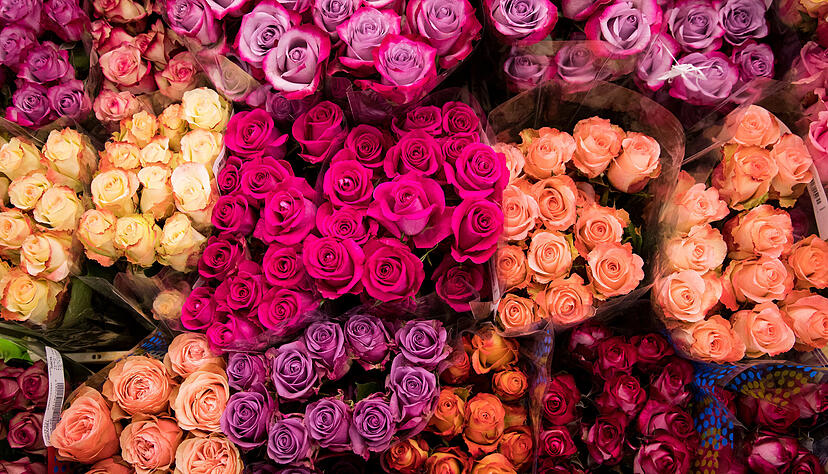 Die Blumen sind am Valentinstag deutlich teurer als sonst. Das sp&uuml;ren auch die H&auml;ndler beim Einkauf.