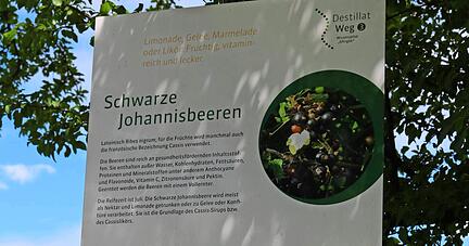 26 Infotafeln erkl&auml;ren den Weg der Destillate von der Frucht in die Flasche.