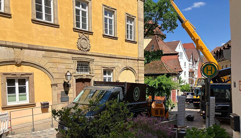 Am Freitagmorgen sorgte der Sturz eines gesch&uuml;tzten Ahornbaums in der Altstadt von Bad Wimpfen f&uuml;r Aufregung. Die Langgasse an der Stelle gesperrt.