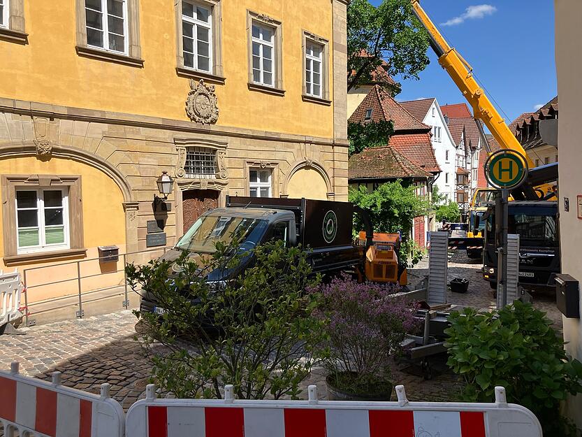 Am Freitagmorgen sorgte der Sturz eines gesch&uuml;tzten Ahornbaums in der Altstadt von Bad Wimpfen f&uuml;r Aufregung. Die Langgasse an der Stelle gesperrt.