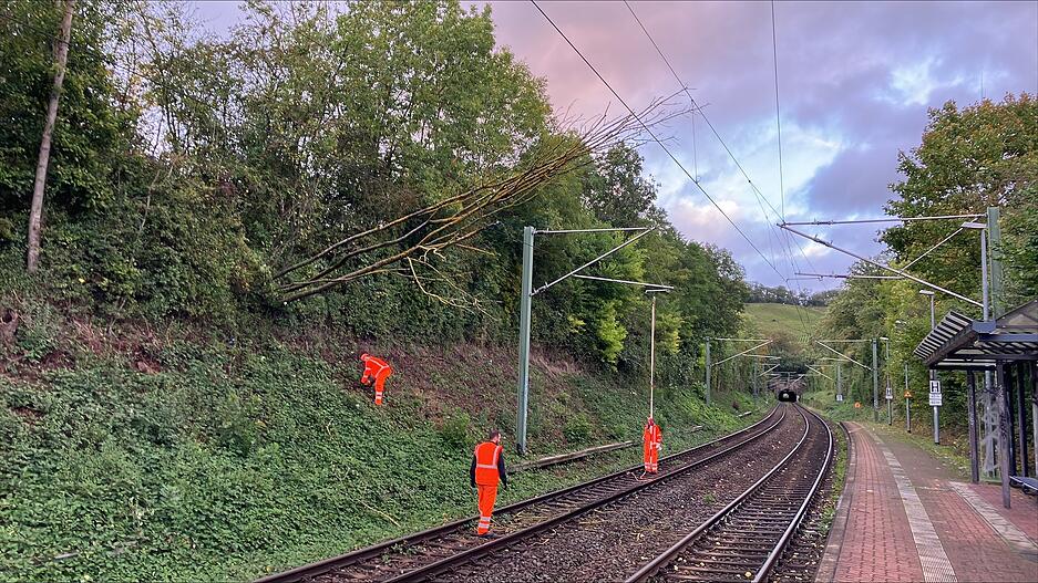 Wegen des Sturms ist ein Baum in eine Oberleitung an der Heilbronner Haltestelle Trappensee gestürzt. Der Stadtbahnverkehr musste vormittags eingestellt werden. Wegen des Sturms ist ein Baum in eine Oberleitung an der Heilbronner Haltestelle Trappensee gestürzt. Der Stadtbahnverkehr musste vormittags eingestellt werden.