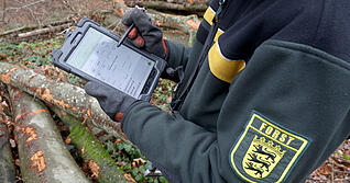 Försterin Maike Muth stellt im Wald von Ilsfeld Brennholz bereit.