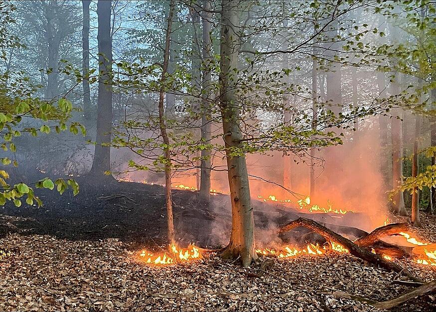 Am Samstagabend entz&uuml;ndeten sich trockenes Laub und &Auml;ste im Stadtwald. Die Feuerwehr konnte den Brand hinter dem J&auml;gerhaus rasch eind&auml;mmen und l&ouml;schen.