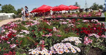 Eppinger Gartenschau Eppinger Gartenschau