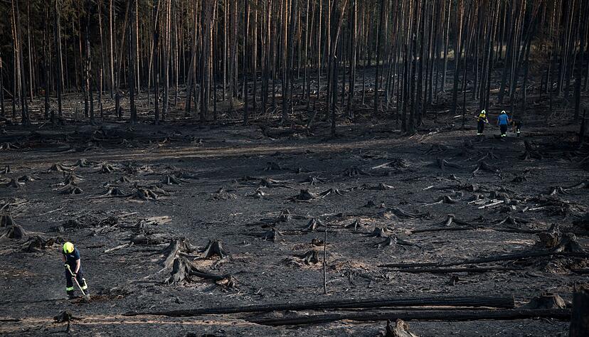 Auf der Saalfelder H&ouml;he in Th&uuml;ringen konnten die Einsatzkr&auml;fte &uuml;ber Nacht eine Ausbreitung verhindern.